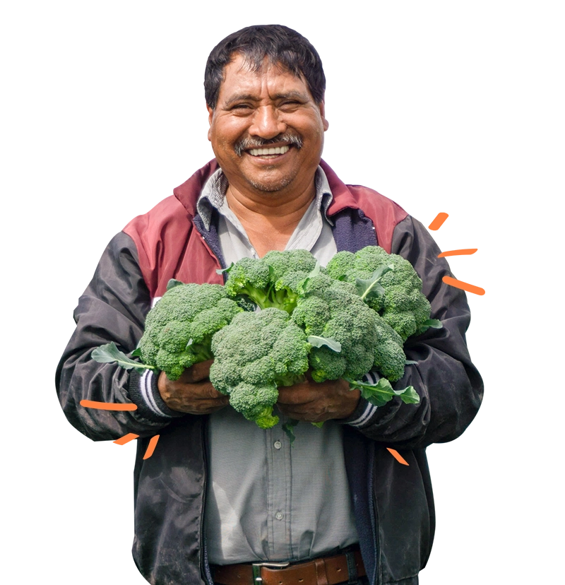 Farmer holding broccoli